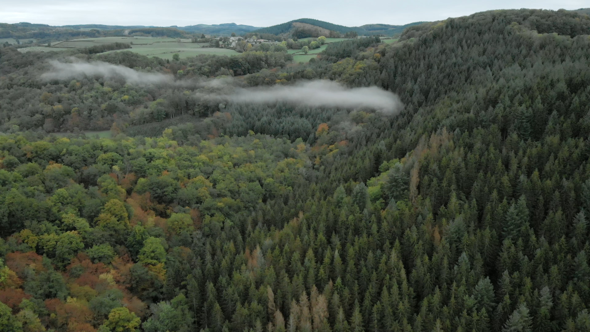 Diffusion  sur France 3 de Morvan, pour quelques douglas de plus
